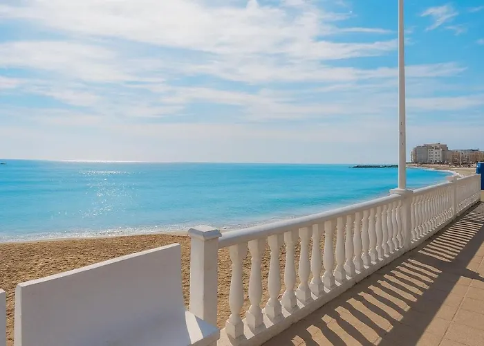 公寓 Modern Coastal Newly Renovated Wifi A.c 托雷维耶哈